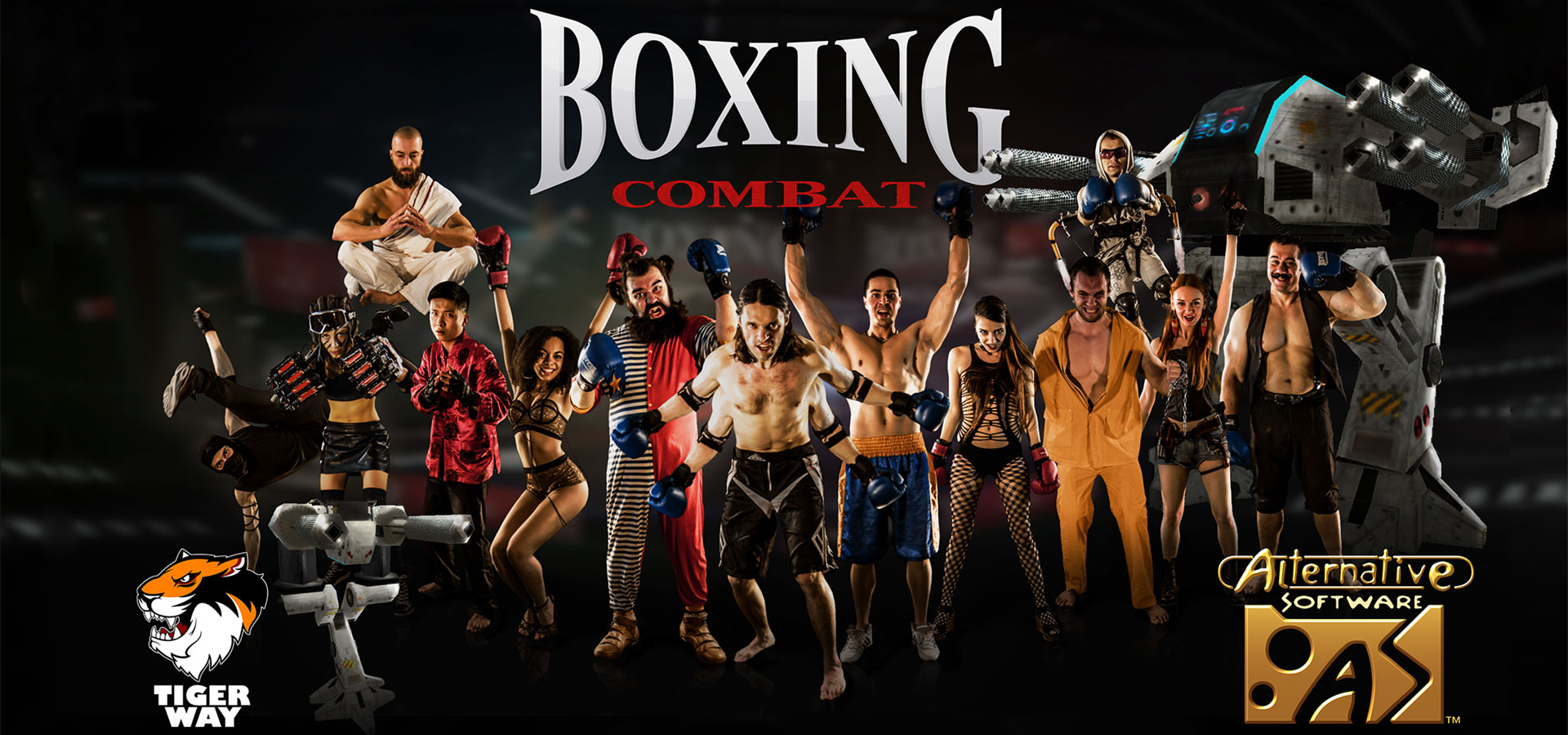 Boxing Combat