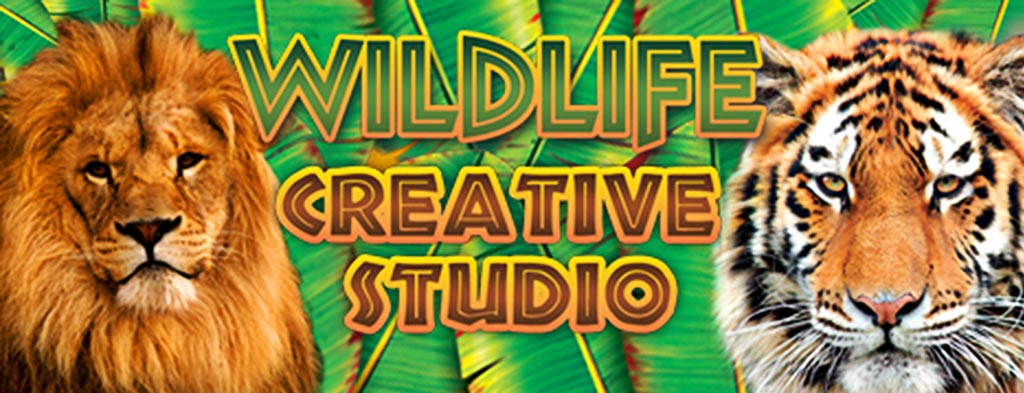 Wildlife Creative Studio