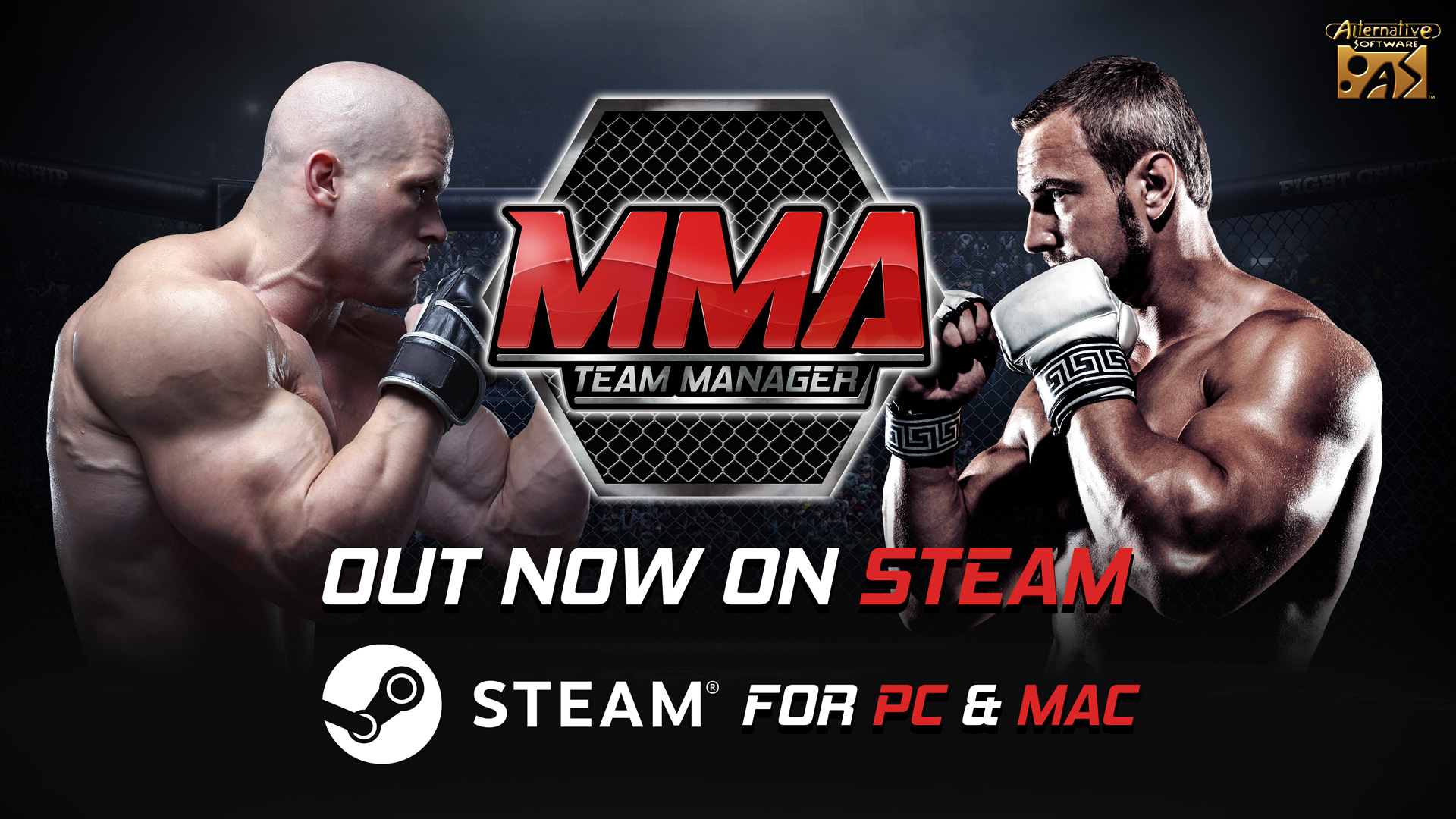 MMA Team Manager Banner