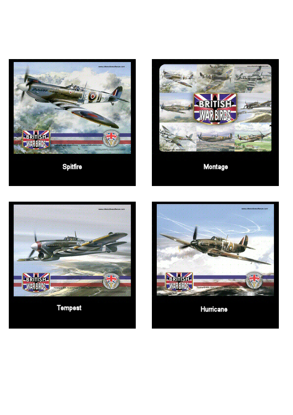 British Warbirds