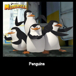 Madagascar Mouse Mats